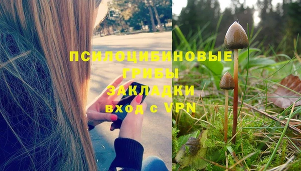 бошки Алзамай